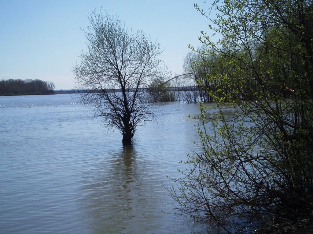 На берегу красиво, воды много. Поклёвки хищника не увидел 03 и 04.05.