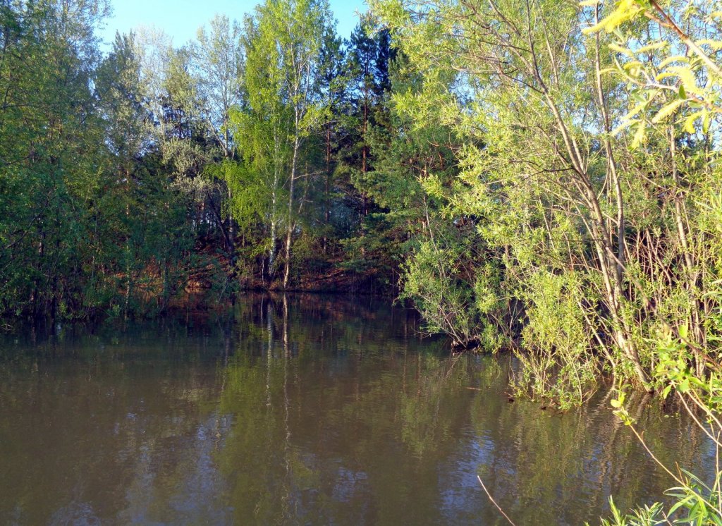 Большая вода 15.05.2015