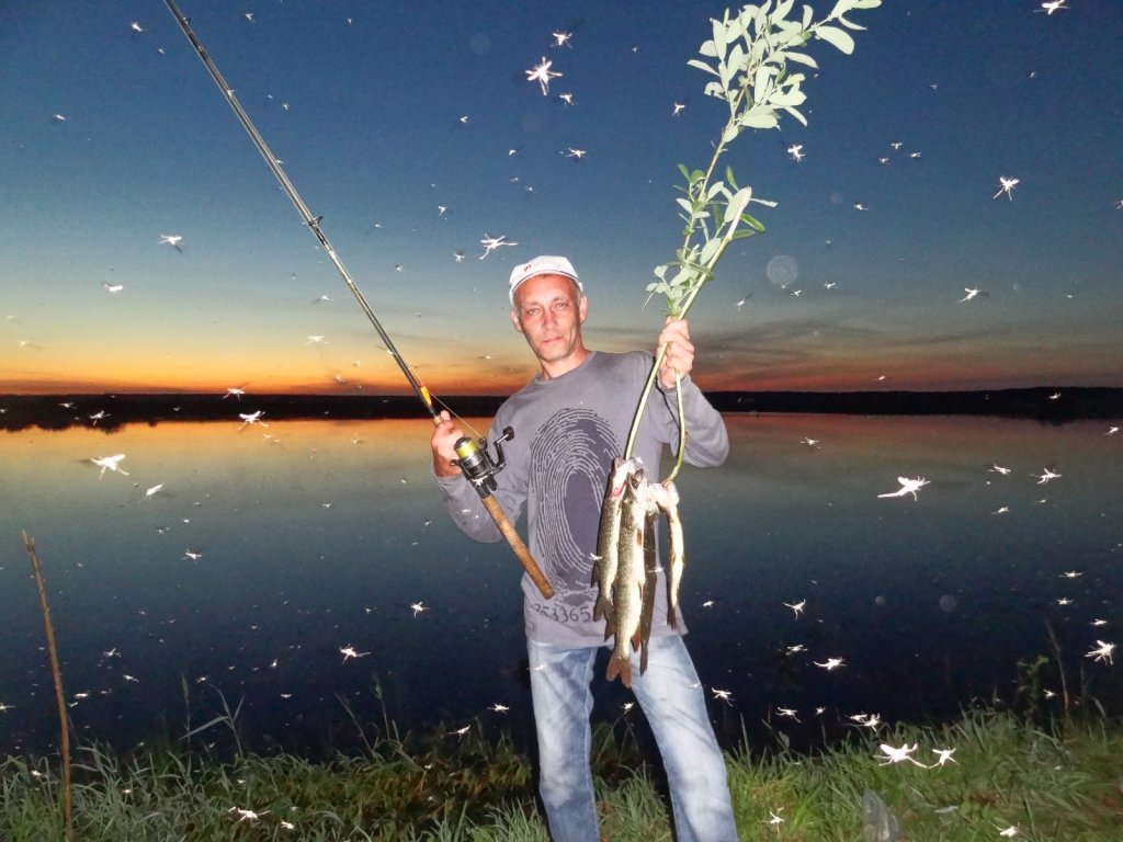 Щучки и комарики )))
