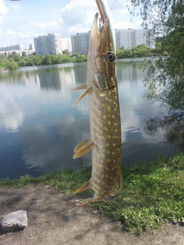 уговорил для фотосесии :)