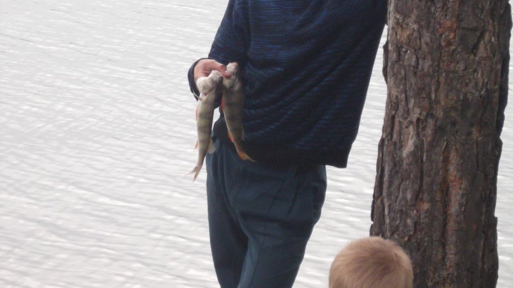 В поиске новых мест 2013год