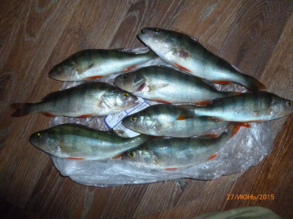 восемь самых -самых)))