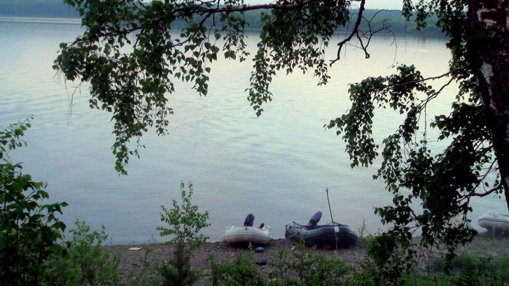 Ангарские крокодилы