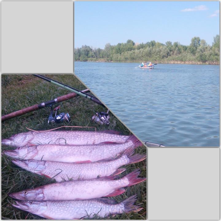 р.Обь. 20.07.2015 вечер.