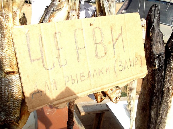 Злые