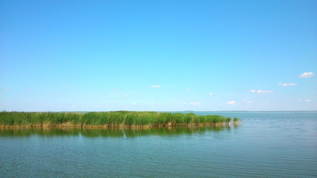 оз.Чаны. июль 2015