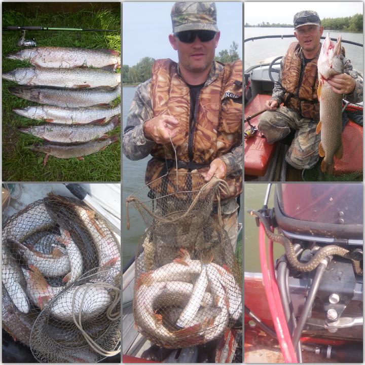 р.Обь 19.07.2015 утро.