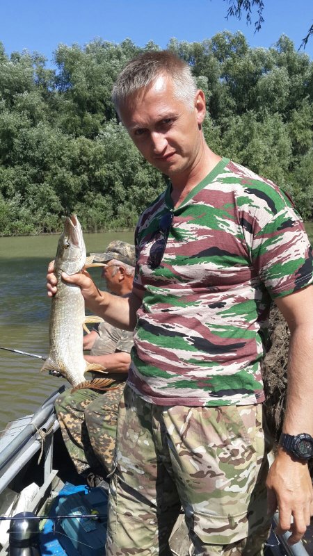 Сегодня, утро