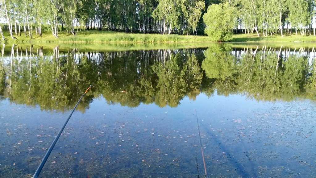 лунный камень
