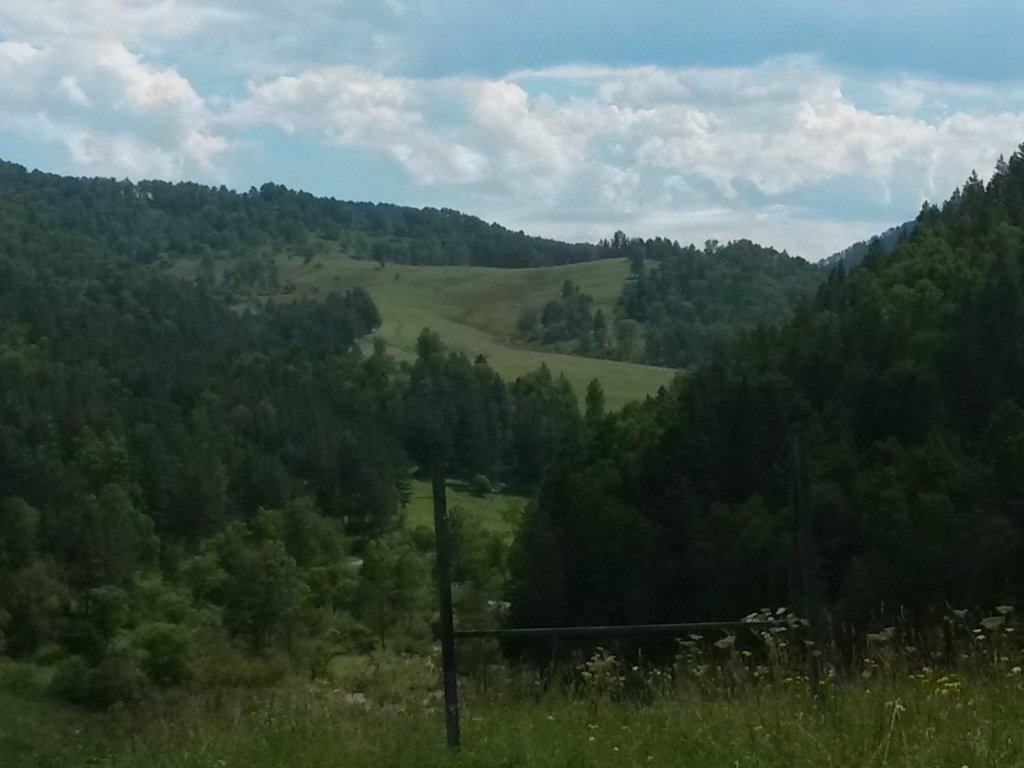 Алтай