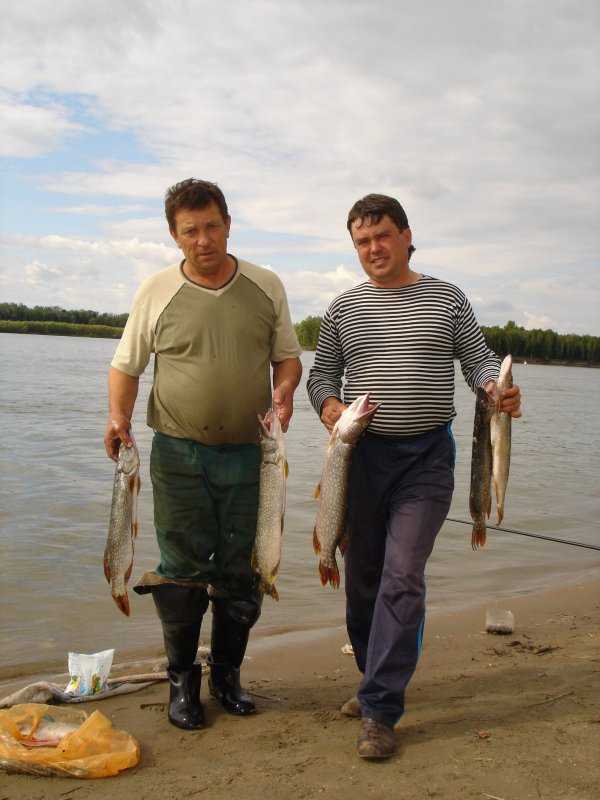остов Телячий