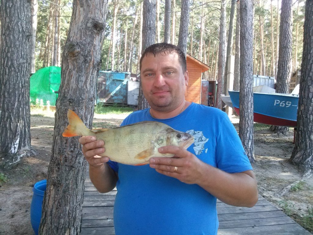 окунь