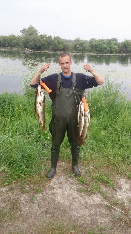 Озеро в колывани