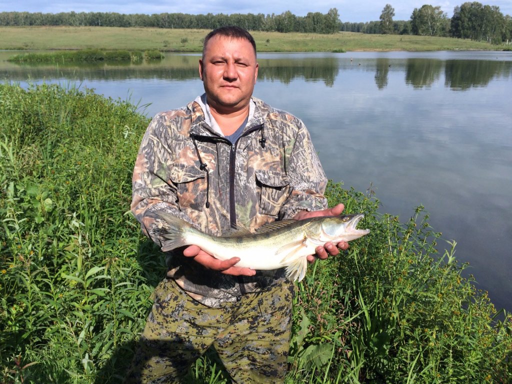 Платник в Кузбасском