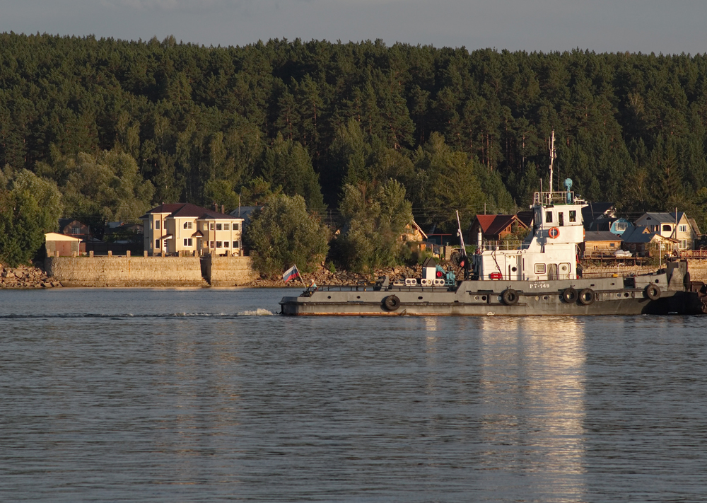 Речная жизнь (о. Зелёненький)