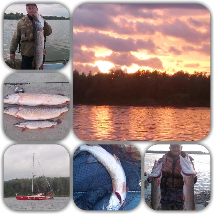 р.Обь ....02.08.2015.