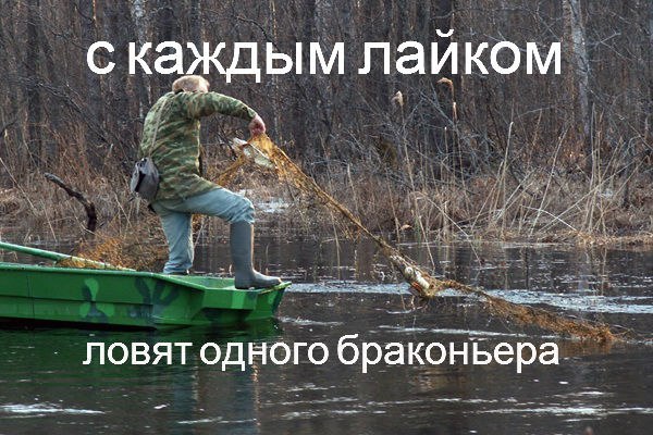 С каждым лайком