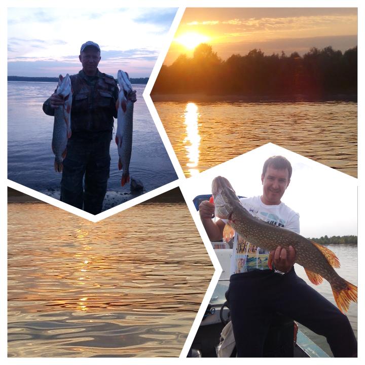 р.Обь 30.08.2015.