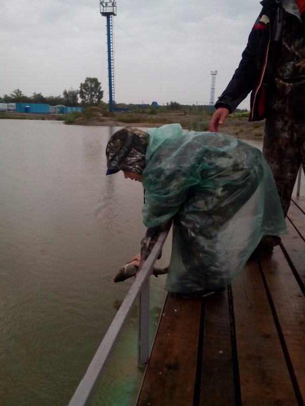 Этого отпустил, в родную стихию.