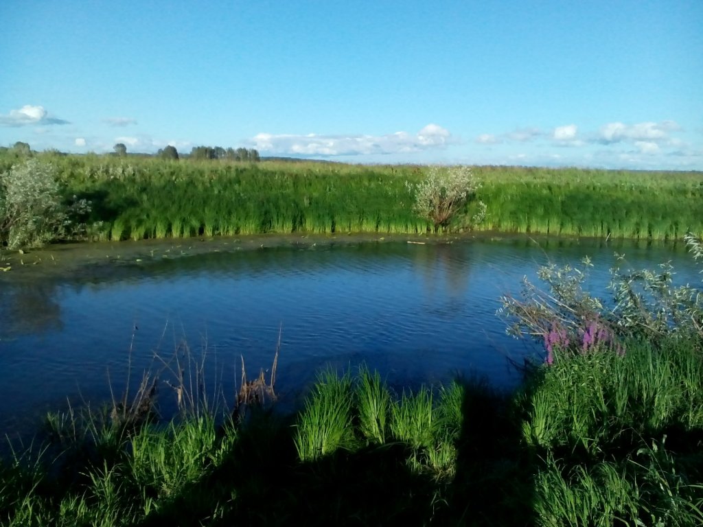 речка
