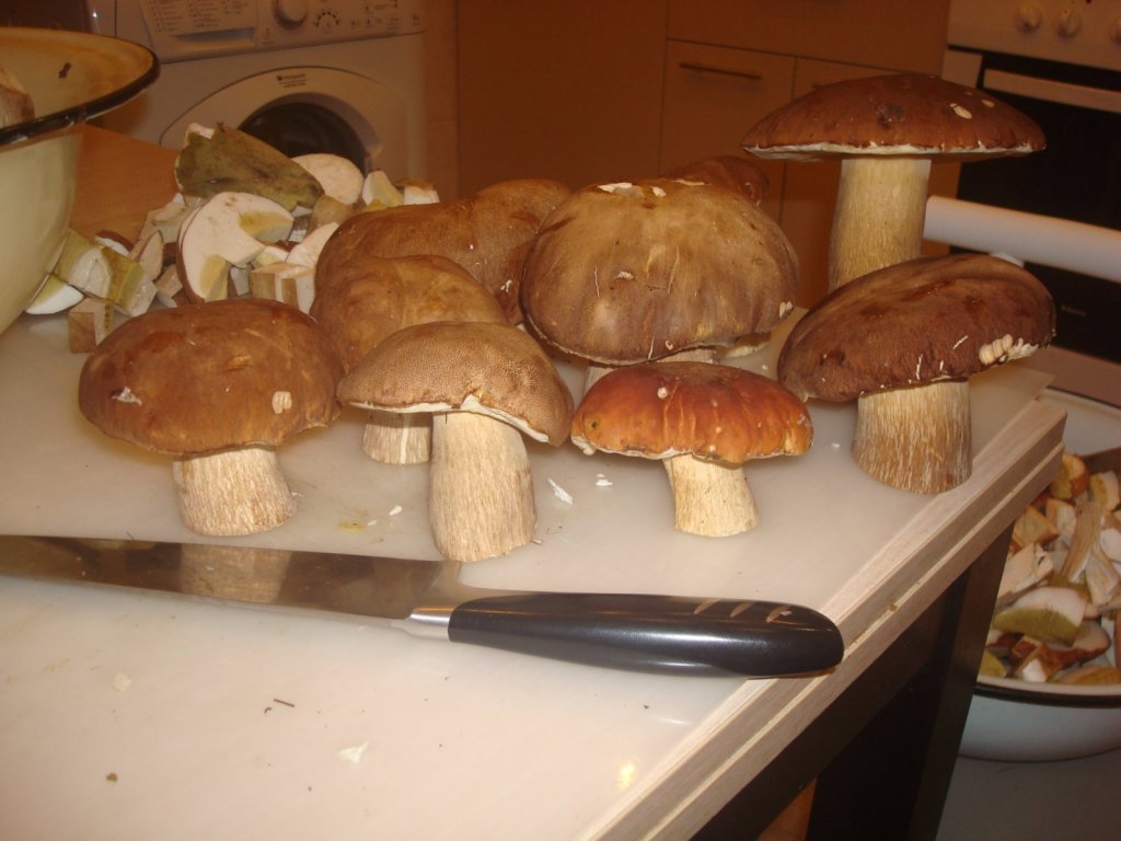 пеньки)