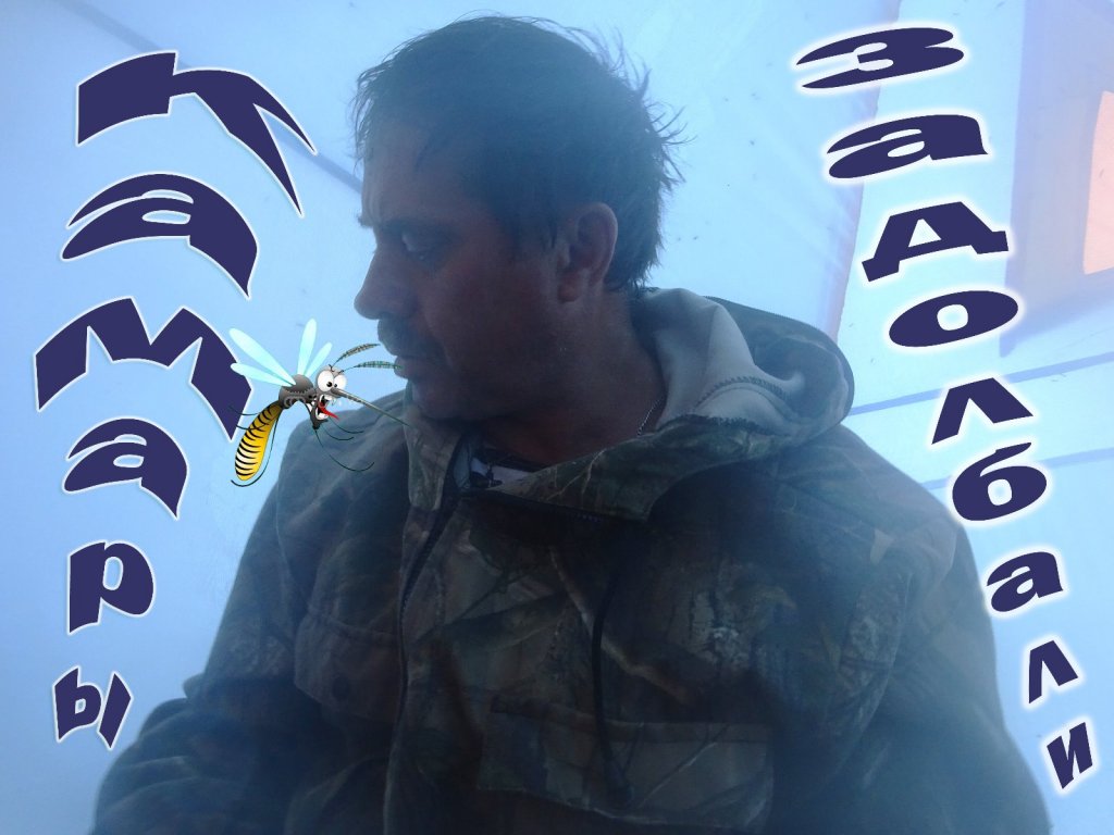 Спать комарик не дает, на рыбалку он зовет!