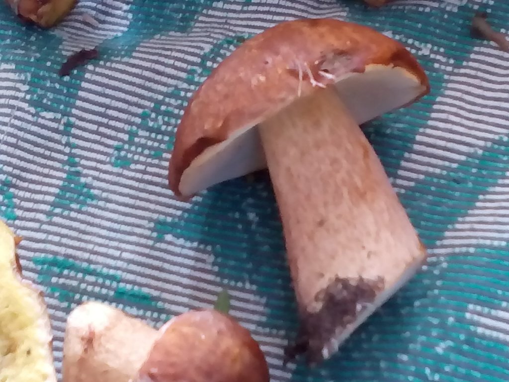 молодые