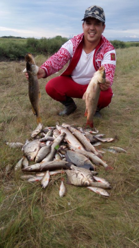 Каргатский район.