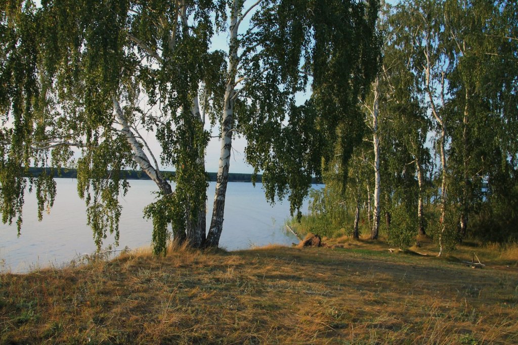 Август...