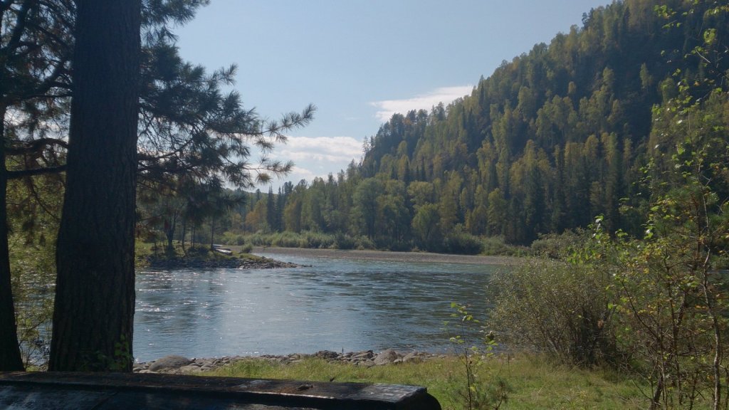 Устье Сарыкокши
