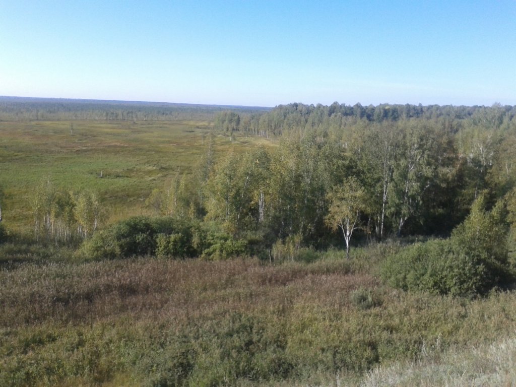 Где-то внизу- Симан