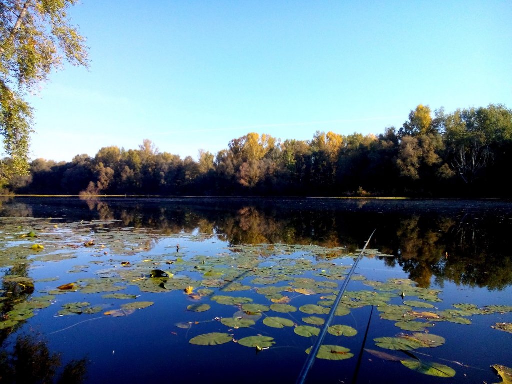 Кашкарагаиха