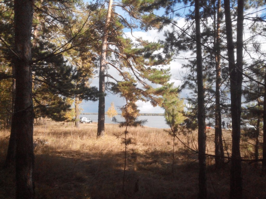 Близ Спирино