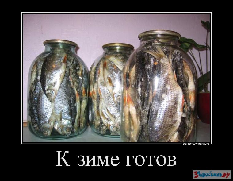 Живец на жерлица:D