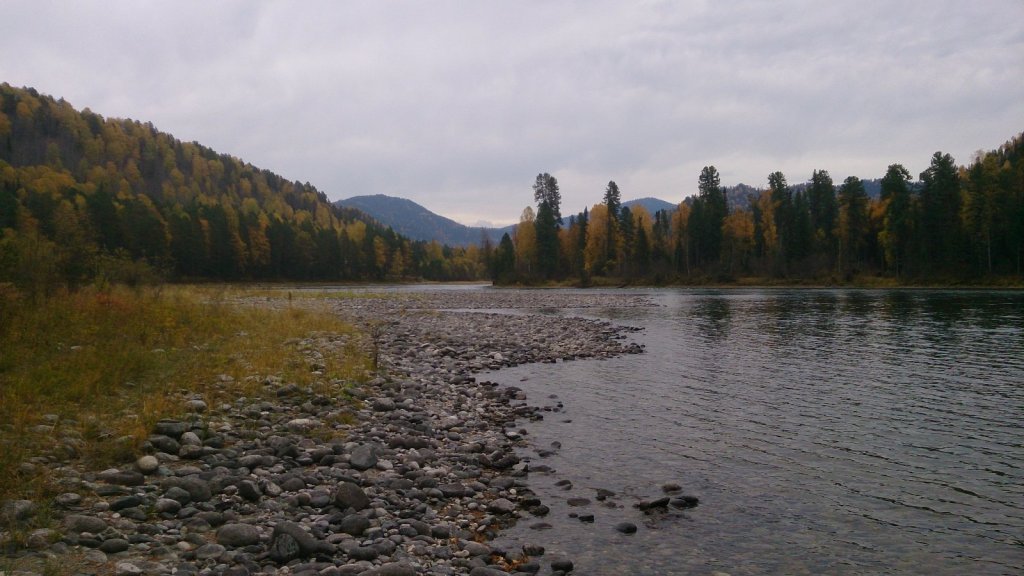 Перекат и плес