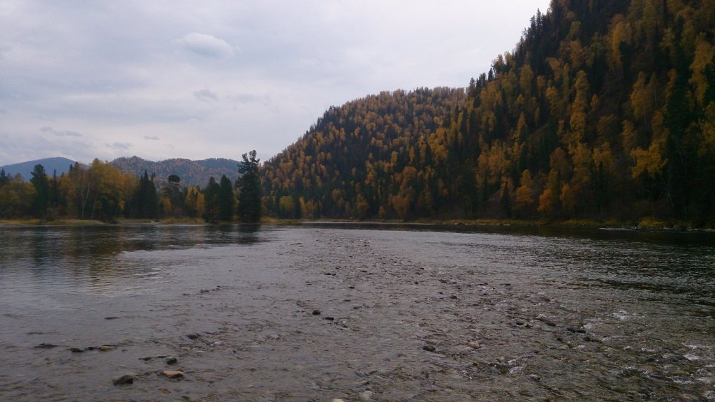 Развилка