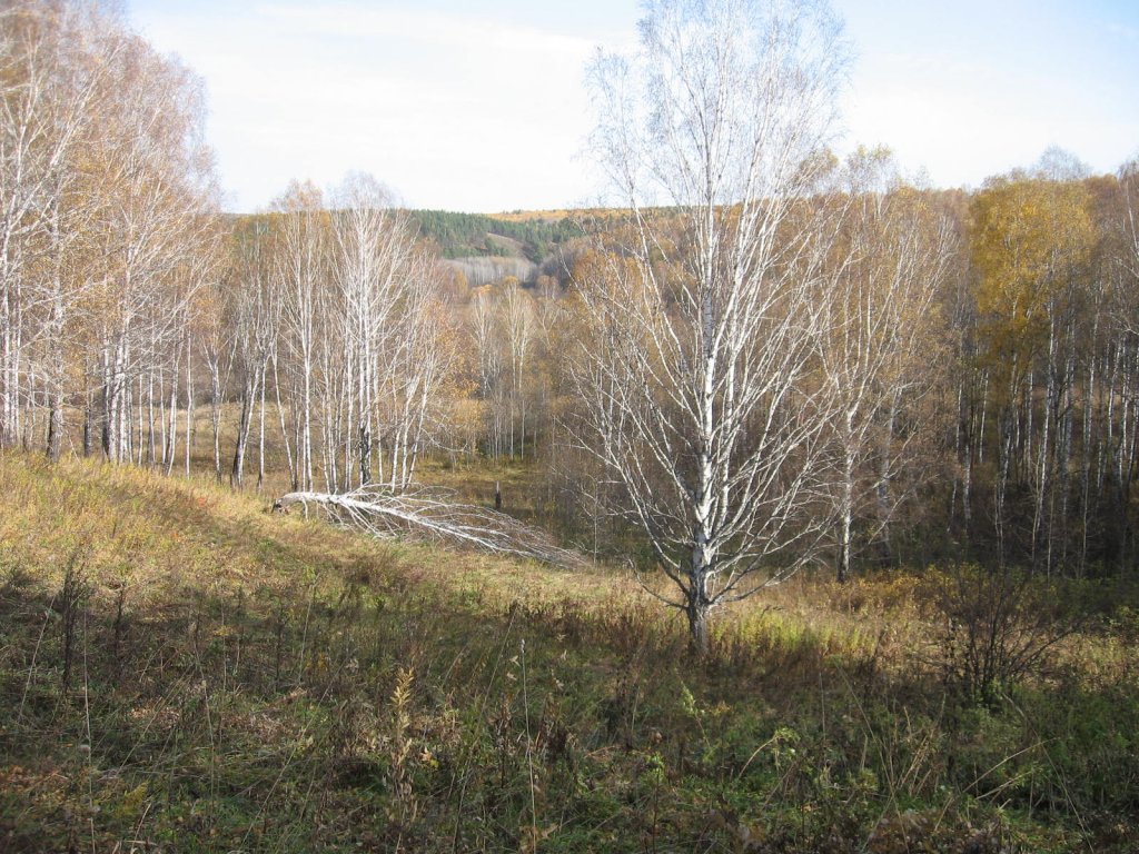 Осенний Салаир