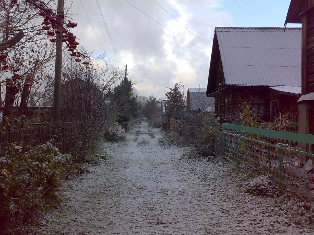 первая пороша.