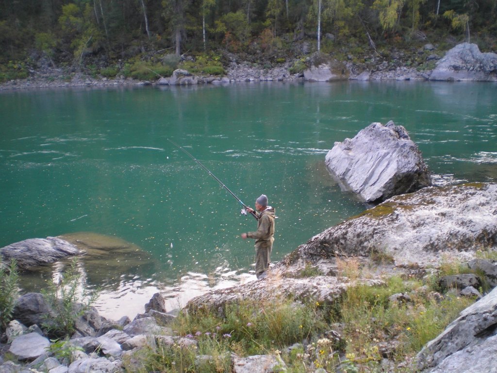 На Катуне за хариусом