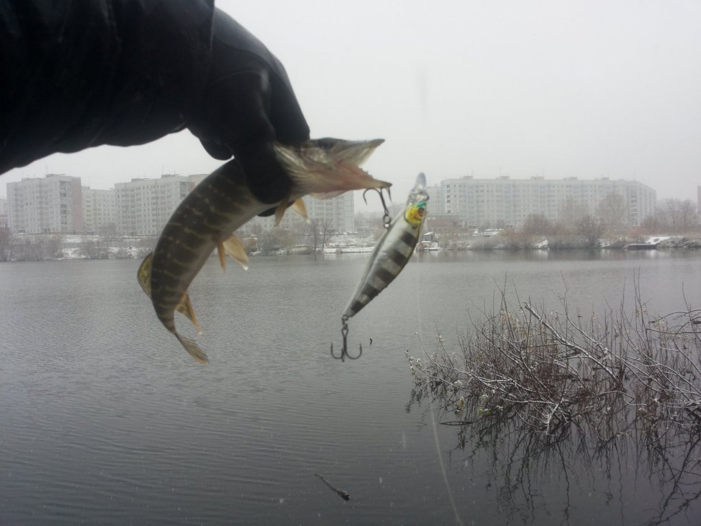 на домашнем озере в снегопад :)