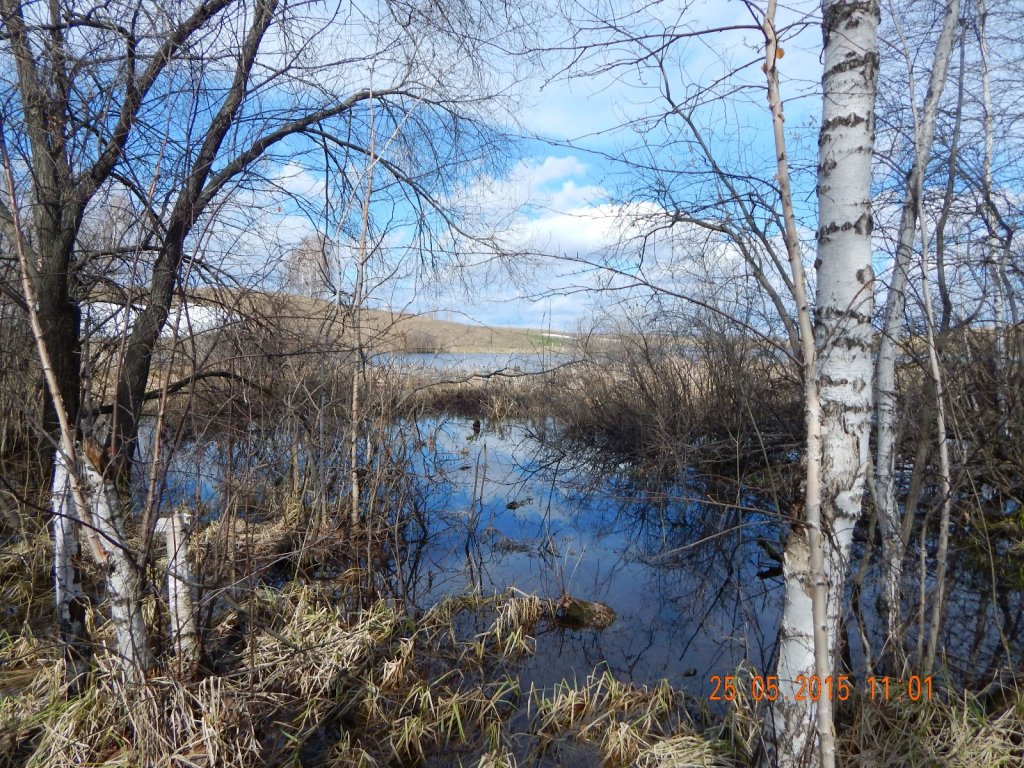 первая вода