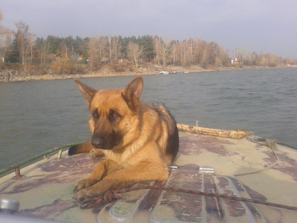 разное