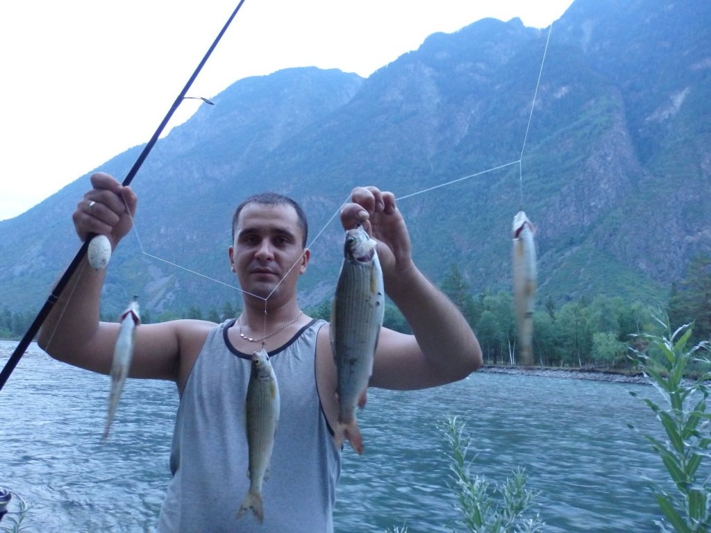 хариуз