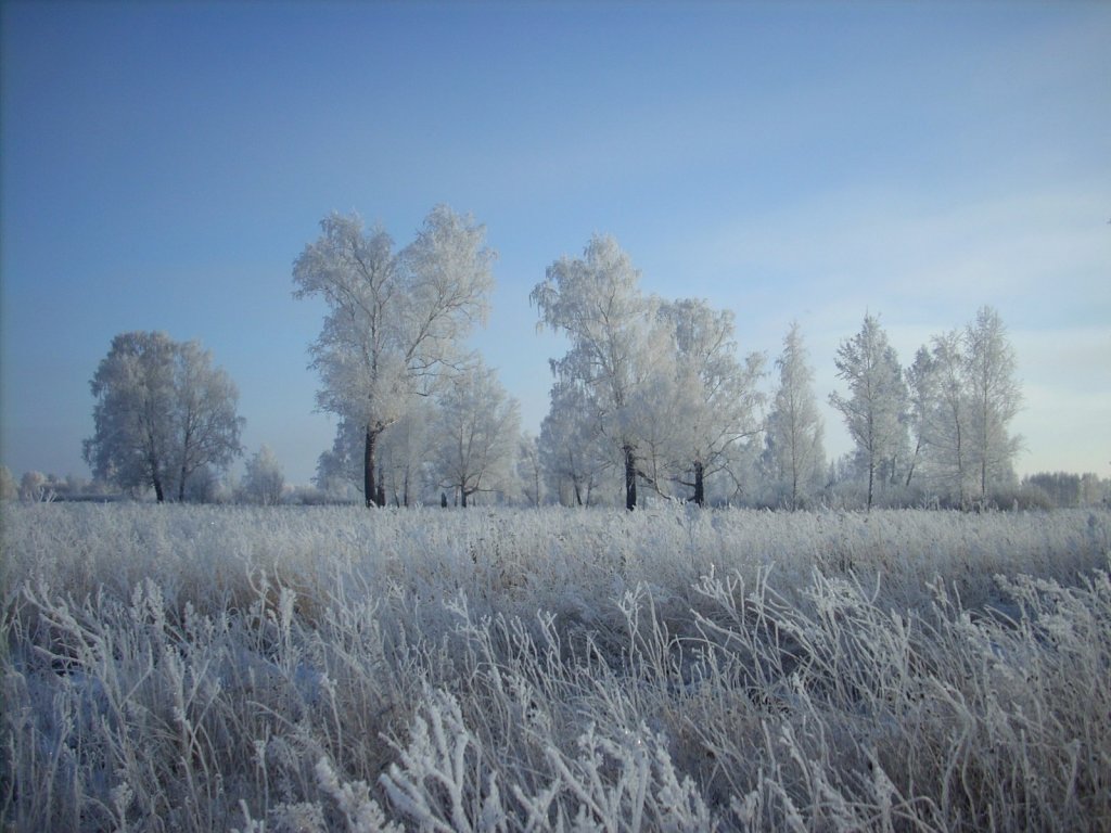 Зимняя красота.
