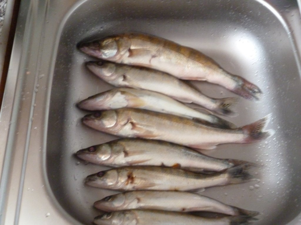 судачки