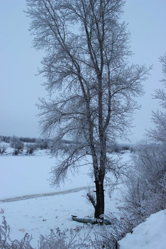 Р. Кеть