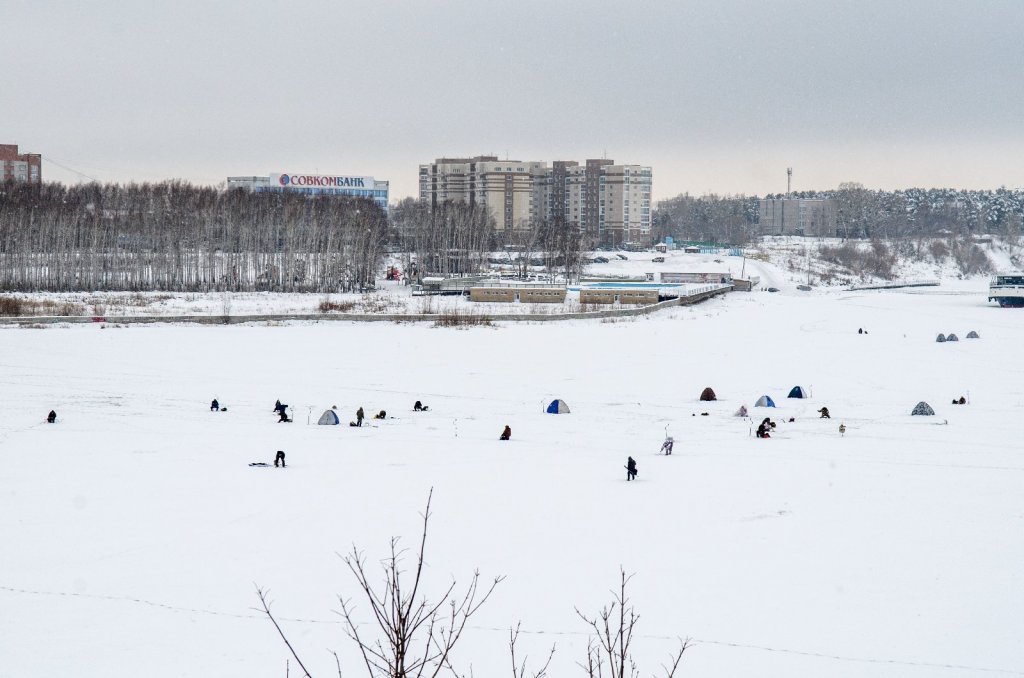 Бердский залив