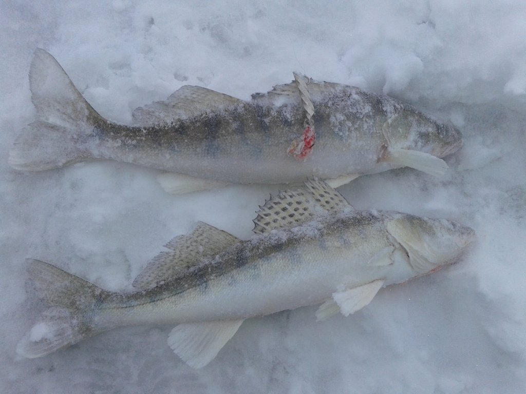 Морской