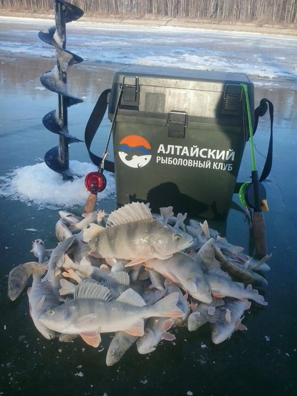 Первый лед!