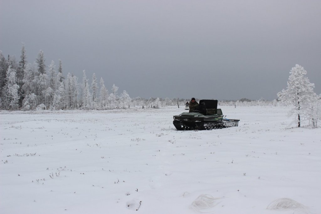 Сибирские просторы